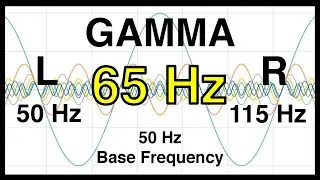 65 Hz Pure BINAURAL Beat 🟨 GAMMA Waves [50 Hz Base Frequency] 🟨 Ondas Gamma 100%