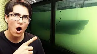 Abandoned Shark Lab.. (SECRET)