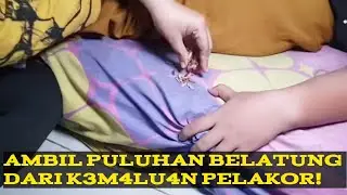 [LIVE]SALING KIRIM SANTET!ISTRI SAH& PELAKOR! KELUAR BELATUNG WAKTU PIPIS