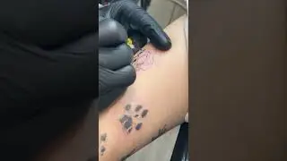 Vem comigo fazer tatuagens do Metal Gear Solid e do meu gato 🔥🧡 #tatuagem #tattoo