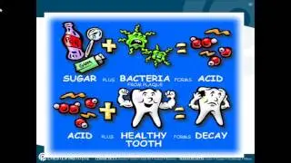 Dental Assisting: Nutrition Introduction