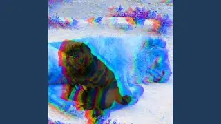 Unique Music for Beloved Puppy