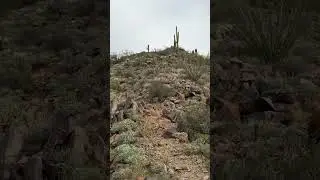 #hiking Spotting the First Checkpoint &mdash; Daisy Mountain Peak Came Into View.