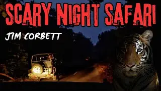 Night Safari in Dense Jim Corbett Tiger Reserve | Kishanpur Wildlife Sanctuary | Dudhwa