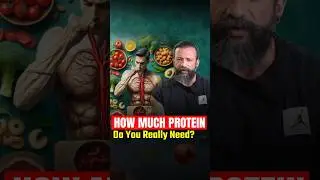 How Much Protein is Enough for Your Body?