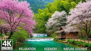 Beautiful Relaxing Music &ndash; Stop Overthinking, Stress Relief, Sleep Music for Calm Mind