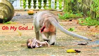 Oh my god.!!Very pity baby Bean when mom warning and not care, Why mom Barry try to leave baby alone