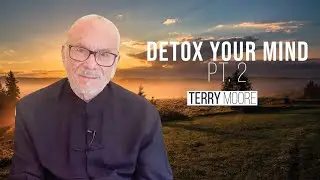 Детоксикация разума. Часть 2. Терри Мур
