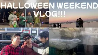 Halloween Weekend in Boston! | VLOG