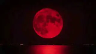 Heartsteel - Under the blood moon