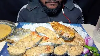 ASMR EATING ROHU FISH FRY🐟, FISH GRAVY WITH RICE, JHOLE FISH GREEN CHILLIES & ONION SALAD MUKBANG!!!