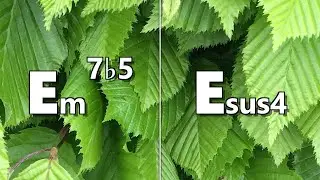 Em7b5 to Esus4 Backing Track