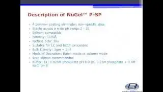Biotech Support Group NuGel&trade; P SP Strong Cation Exchange Support Sample Preparation