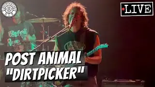 Post Animal 