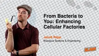 From Bacteria to You: Enhancing Cellular Factories - Berkeley Lab Research SLAM 2025 - Jacob Rapp