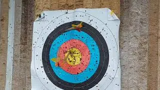 Bodnik bows Redman 81 lbs recurve bow test, traditional archery