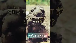 Do you know What is this called|| know your Nature|15 August 2023