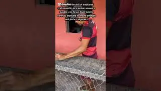 Masterful Manual Wire Fence Weaving