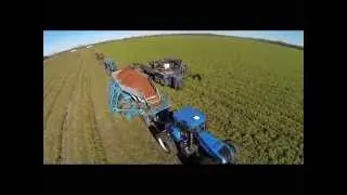 Drone footage of the Crop Shuttle in Carrot Harvest