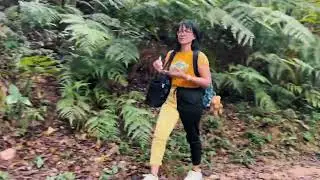 Bride&rsquo;s Pool Nature Trail Hong Kong#hiking#waterfalls#adventure