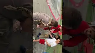 Python#short#brave kids#real python#scary and exciting#how to pet python