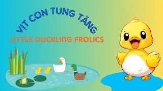 VỊT CON TUNG TĂNG-LITTLE DUCKLING FROLICS