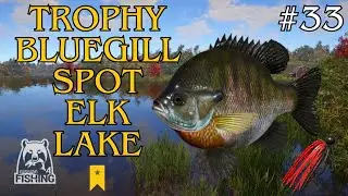 Trophy Bluegill Spot Elk Lake | Russian Fishing 4 #33 (30/10/2025)