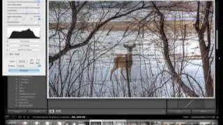 Single Image to HDR