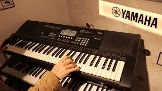 Startone MK-300 Showcase - Musicngear's Most Popular Gear at @ThomannMusic Headquarters