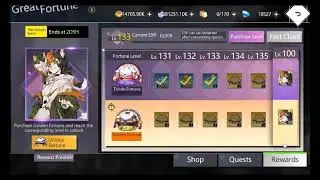 what skin should I choose | ILLUSION CONNECT GLOBAL