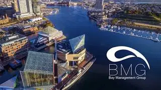 Bay Property Management Group