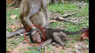 So Pity Baby Lori Was Tired, Old Thin Mother Not Care, Very Worry With Baby.