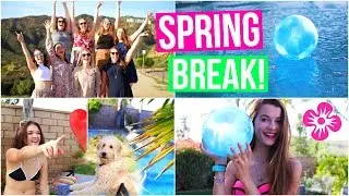 What To Do When Bored During SPRING BREAK!!! | Tatiana Boyd