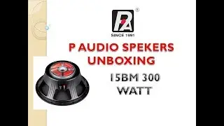 Original p audio speaker 300 Watt unboxing @ Smart sound System