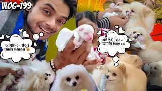 বাড়িতে আজ নতুন সদস্য এলো 🥰 🤗 (Vlog-199)#dog #pets #dailyvlog 