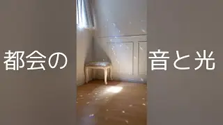 都会の中のやさしい時間 🌸 音と光の瞑想 🌸 20分【音と映像のみ】