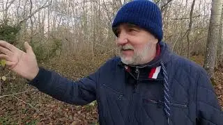 Maintenance of the most species-rich areas in Estonia &ndash; semi-natural grasslands