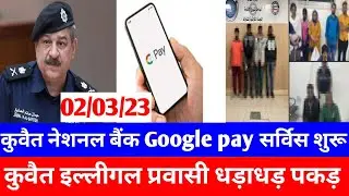 Kuwait National Bank google pay service allow and Kuwait illegal warkers arest 😭 big news Hindi