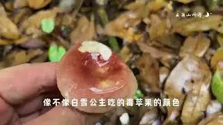 I heard that contemporary college students have three hobbies picking mushrooms, fishing, and repair