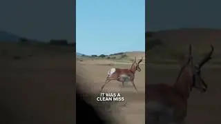 🏹 Aubrey Went After Pronghorn In Colorado | Adventure Highlight