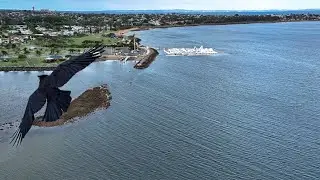 #redcliffe   #waterfront #brisbane  #dronevideo #dji 4K/60