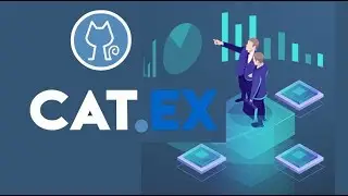 ICO Catex Token (CATT). Чем интересно ICO?