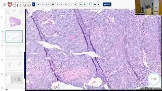 Soft Tissue Unknowns 2026 01 15