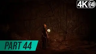 Assassin's Creed Valhalla [4K 60fps] Walkthrough #44 - Stealth? in AC Valhalla? (with commentary)