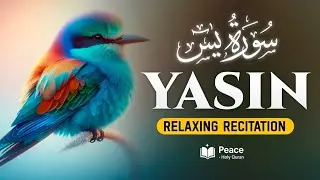 Surah Yasin (سورة يس) | Relaxing Quran Recitation for Peace of Heart & Soul | Peace Holy Quran 