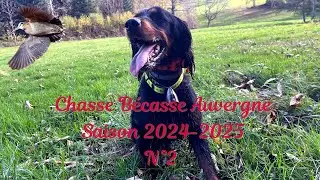 Chasse B&eacute;casse Auvergne saison 2024 -2025 n&deg;2