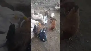 ٢٤ ديسمبر ٢٠٢٥