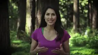 YOQI: Qigong Flow for a Happy Liver with Marisa Cranfill (YMAA DVD preview)