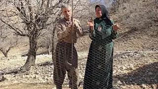 Nomadic Life: Fencing a Sheep Shelter in the Zagros Mountains | Jahangir Family