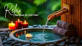 Spa Music for Mind Clarity 🌿 | Gentle Piano Path for Productive Calm & Ease